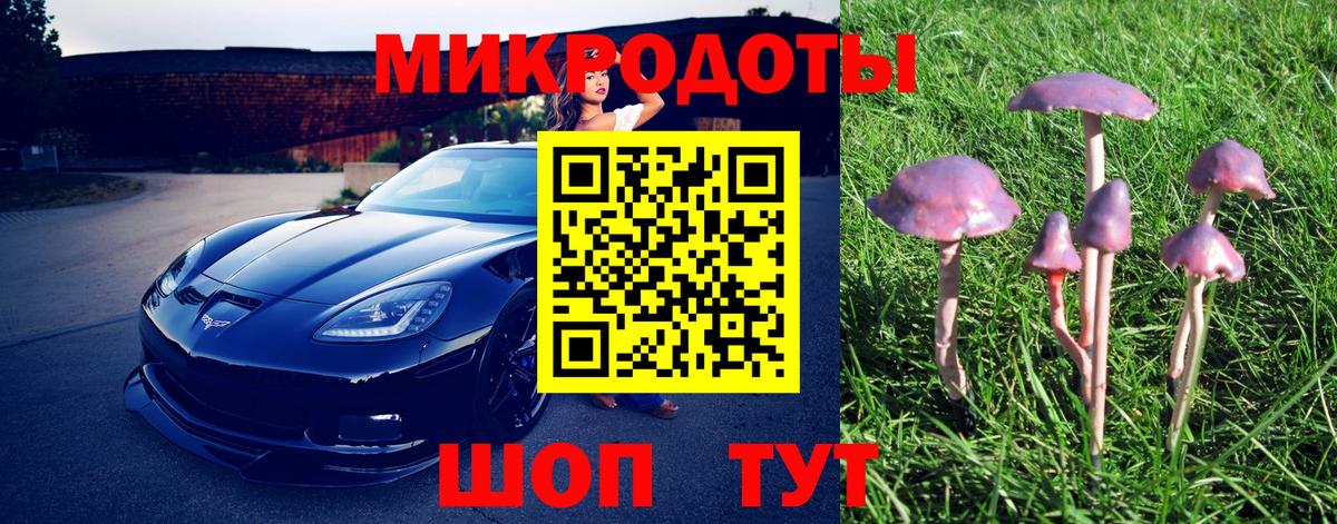 Галлюциногенные грибы прущие грибы  Вход с VPN  Батайск  Псилоцибиновые грибы мухоморы 